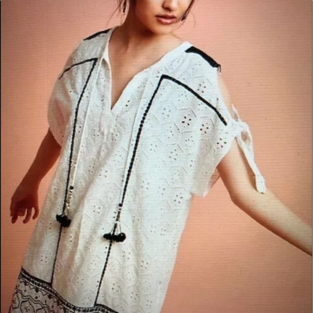 Anthropologie Aditya Embroidered tunic dress